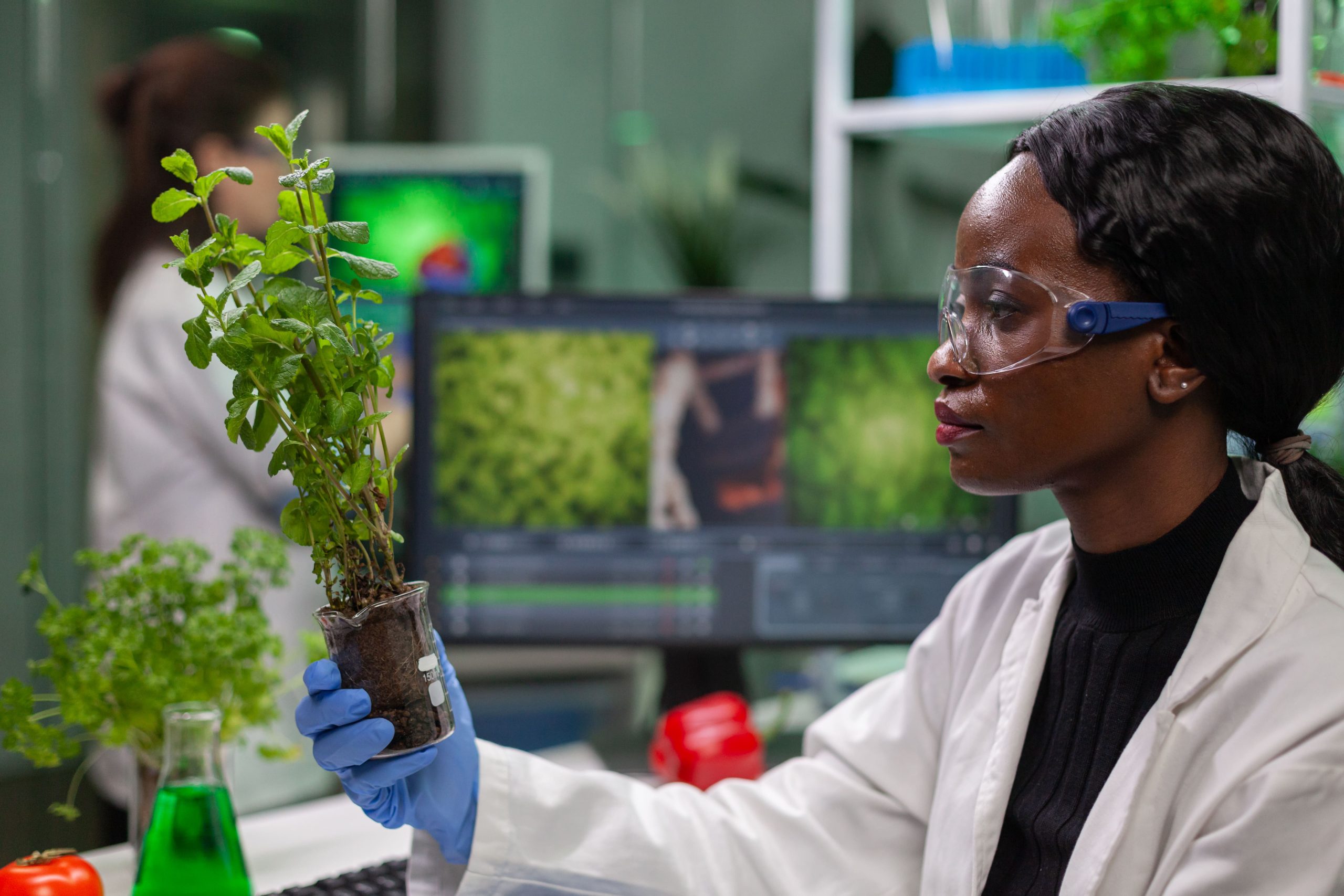 Transforming Agriculture in Africa with Responsible and Inclusive AI ...