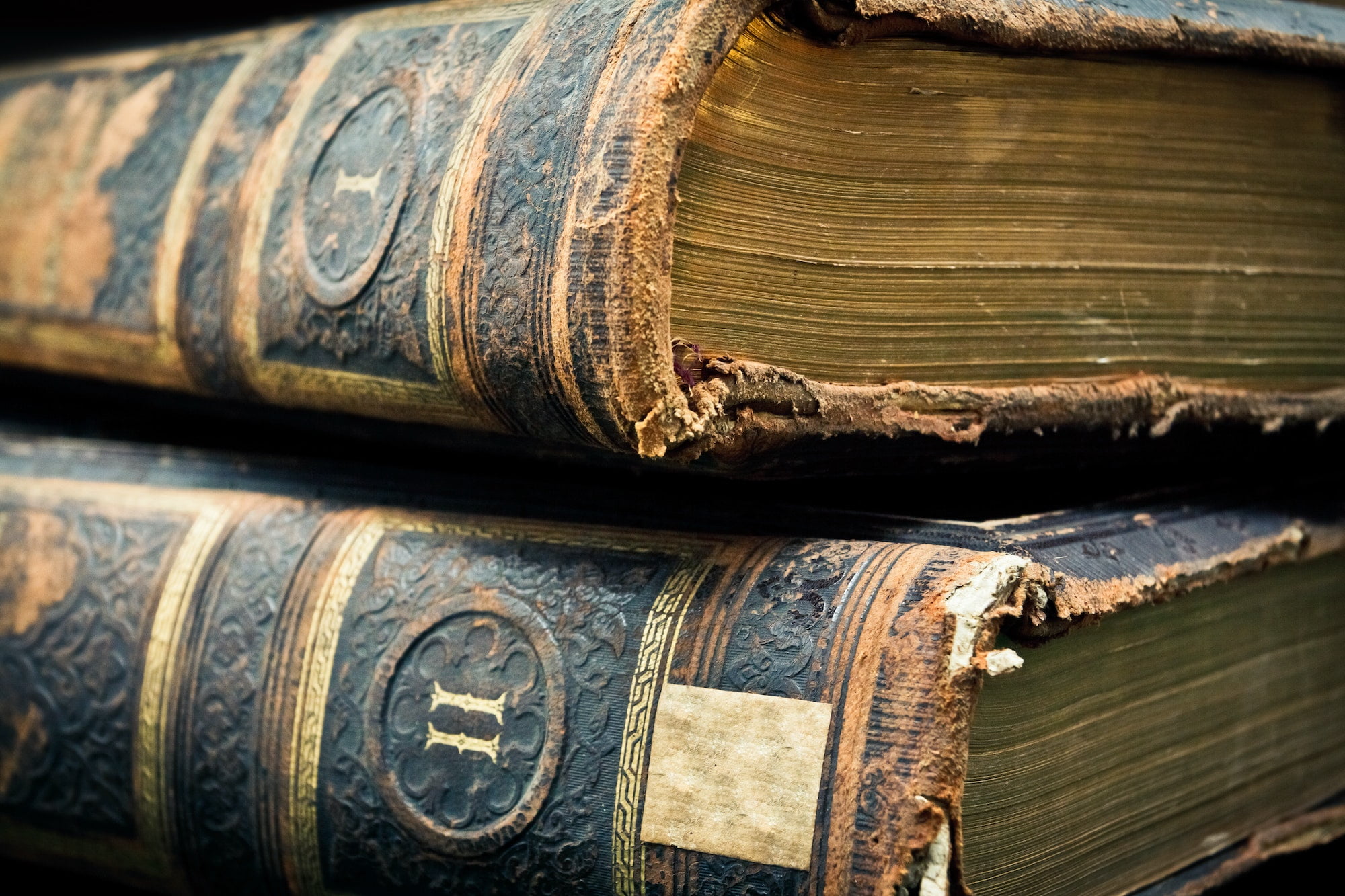 Two volumes antique leather bound books